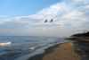 picture Shoreline Caspian Sea in Russia