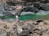 picture Beautiful landscape Socotra Island in Yemen