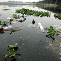 Image Yamuna River in India - The most polluted places in the world