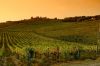 Chianti wineries