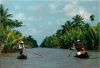 picture Exuberant vegetation Mekong Delta