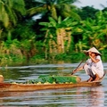 Image Mekong Delta - The most beautiful deltas in the world 