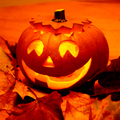 Image Halloween - The most important events of the year