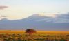 picture General view Kilimanjaro