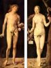 Adam and Eve by Albrecht Durer