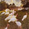 The Turkies by Claude Monet