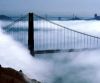picture Foggy morning Golden Gate Bridge
