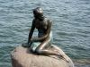 picture The Little Mermaid Statue Copenhagen