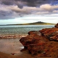 Image Rangitoto Island - The most attractive places to visit in New Zealand 