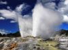 picture Amazing Geyser    Rotorua