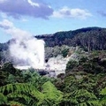 Image Rotorua - The most attractive places to visit in New Zealand 