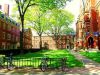 picture Harvard University Cambridge City