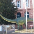Senckenberg Museum of Natural History