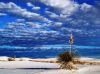 picture Amazing place White Sands National Monument