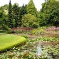 Image National Botanic Gardens - The best touristic attractions in Dublin, Ireland
