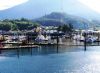 picture Nice view Ketchikan