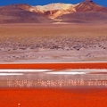 Image Laguna Colorada - The Best Lagoons in the World