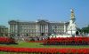 Buckingham Palace picture