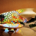 Image The Nautilus House - The Most Bizarre Houses in the World