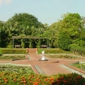Image Singapore Botanical Gardens - The Most Beautiful Botanical Gardens in the World