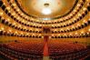 picture Amazing interior Teatro La Fenice in Venice
