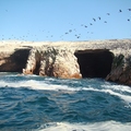 Image The Paracas Sea Cliffs - The Most Dramatic Sea Cliffs in the World