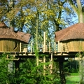 Image Keycamp's Tree House, France - The Most Unusual Hotels in Trees in the World