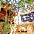 Image The Zentendorf Tree House, Germany - The Most Unusual Hotels in Trees in the World