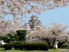 picture Picturesque view Himeji Castle