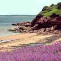 Image Prince Edward Island  - The Most Attractive Islands to Visit in 2012