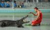 Crocodile performance