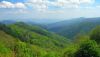 Appalachian deciduous forest