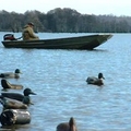 Image Reelfoot Lake - The Best Places to Visit in Tennessee, U.S.A.