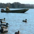 Image Reelfoot Lake