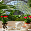 Image Orangery of the Tauride Garden - The Best Places to Visit in Saint Petersburg